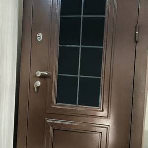 Металлофиленчатая дверь с окном